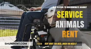 Service Animals and Rental Discrimination: Understanding Legal Boundaries