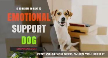 Renting to Emotional Support Dogs: Legal Boundaries and Landlord Rights