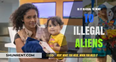 Renting to Undocumented Immigrants: Legal Risks and Landlord Responsibilities