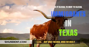 Renting to Undocumented Immigrants in Texas: Legal or Illegal?