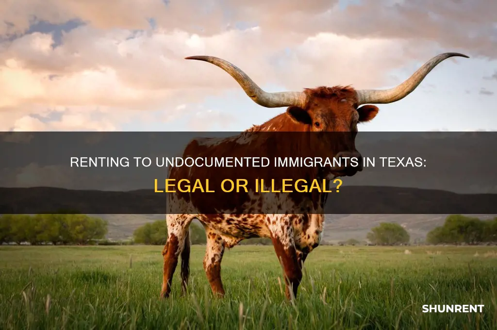 is it illegal to rent to illegal immigrants in texas