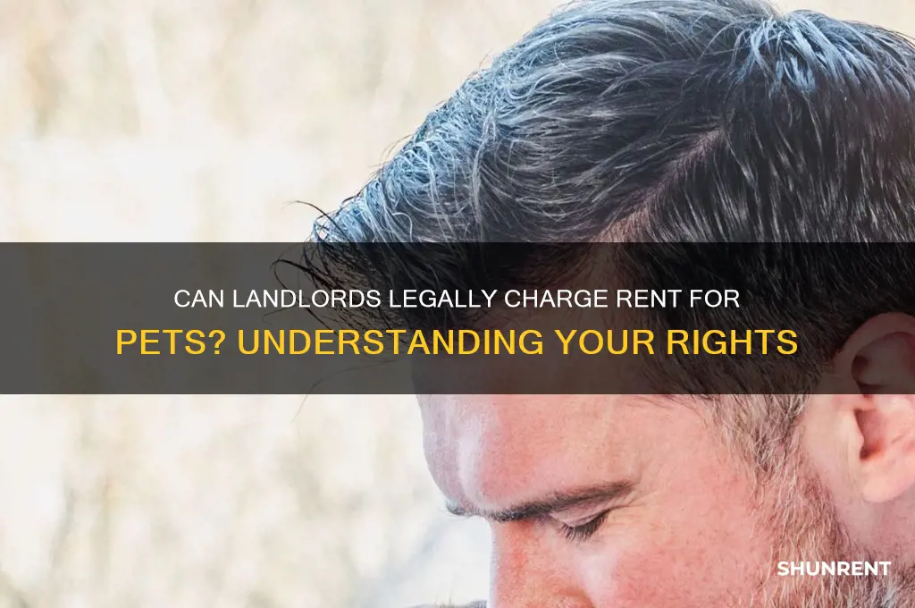 is it legal to ask rent for an animal