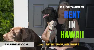 Is Pet Rent Legal in Hawaii? Understanding the Laws and Regulations