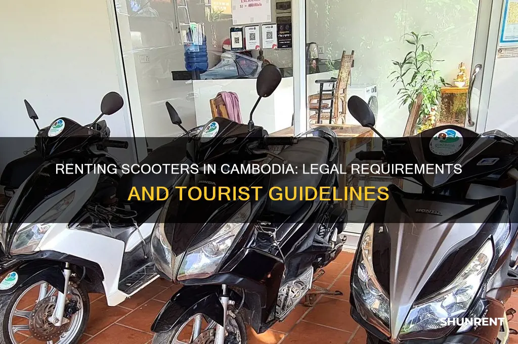 is it legal to rent a scooter in cambodia