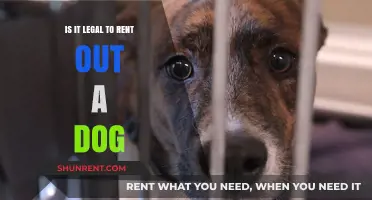 Renting Out Your Dog: Legal Considerations and Ethical Concerns