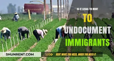 Renting to Undocumented Immigrants: Legal Implications and Landlord Responsibilities