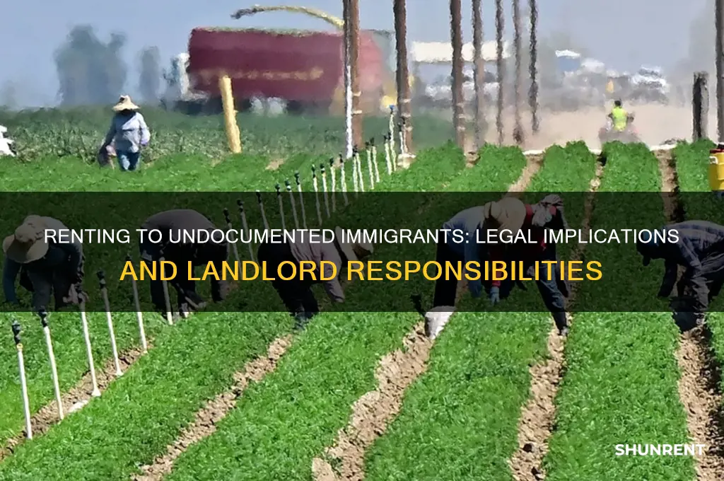 is it legal to rent to undocumented immigrants