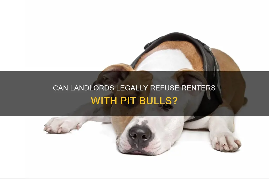 is it legal to turn away renter pit bull