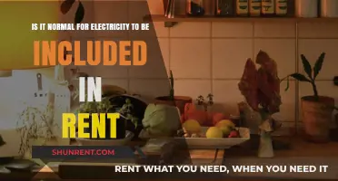 Is Electricity Included in Rent? Understanding Utility Norms