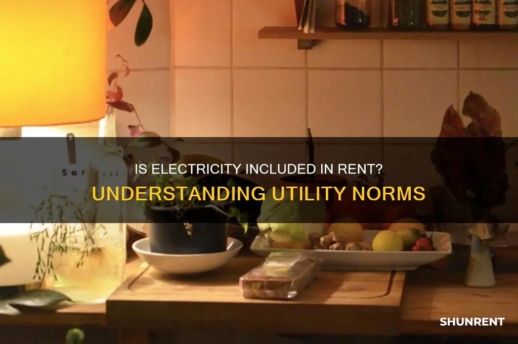 is it normal for electricity to be included in rent