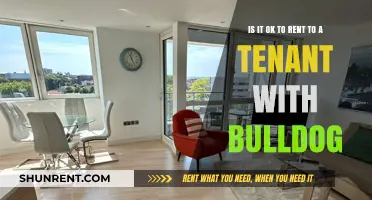 Renting to Bulldog Owners: What Landlords Need to Know