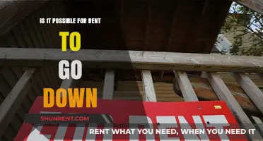 Can Rent Prices Drop? Exploring the Possibility of Lower Rents