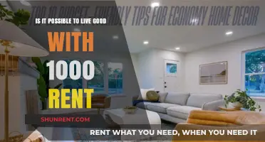 Living Well on a Budget: Thriving with $1000 Monthly Rent
