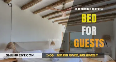 Renting a Bed for Guests: Creative Hosting Solutions Explored