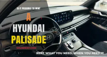 Renting a Hyundai Palisade: Exploring Options and Availability
