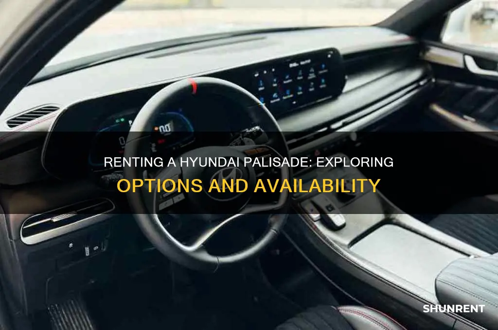 is it possible to rent a hyundai palisade