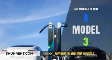 Can You Rent a Tesla Model 3? Exploring Your Options