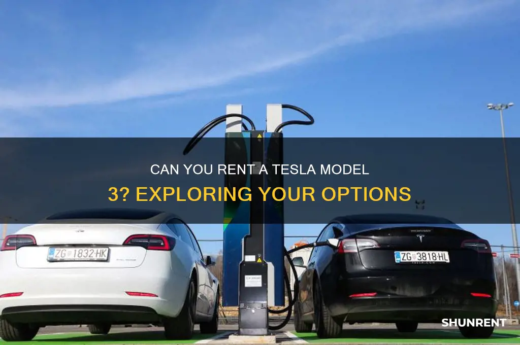 is it possible to rent a model 3