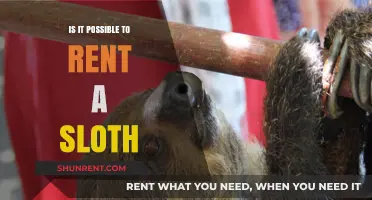 Can You Rent a Sloth? Exploring the Possibility and Ethics