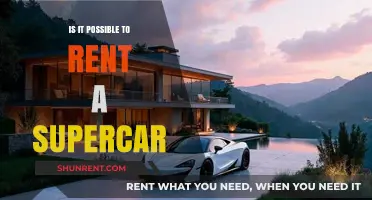 Can You Rent a Supercar? Exploring Luxury Car Rental Options