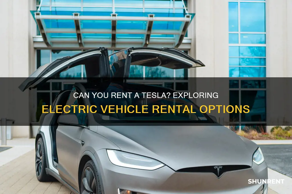 is it possible to rent a tesla