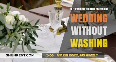 Renting Wedding Plates: Can You Skip the Washing Hassle?