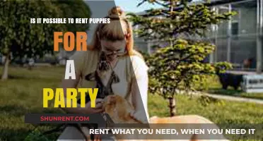 Renting Puppies for Parties: Fun Idea or Ethical Concern?