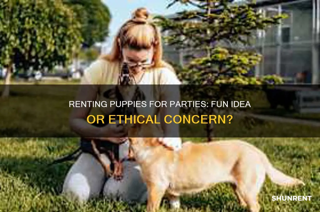 is it possible to rent puppies for a party