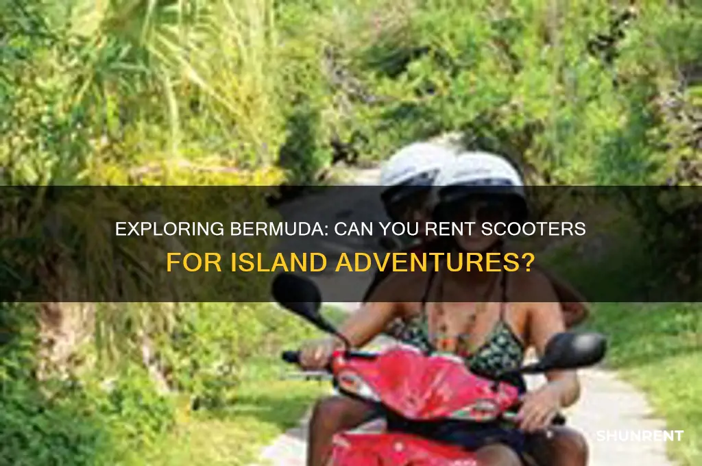 is it possible to rent scooters in bermuda