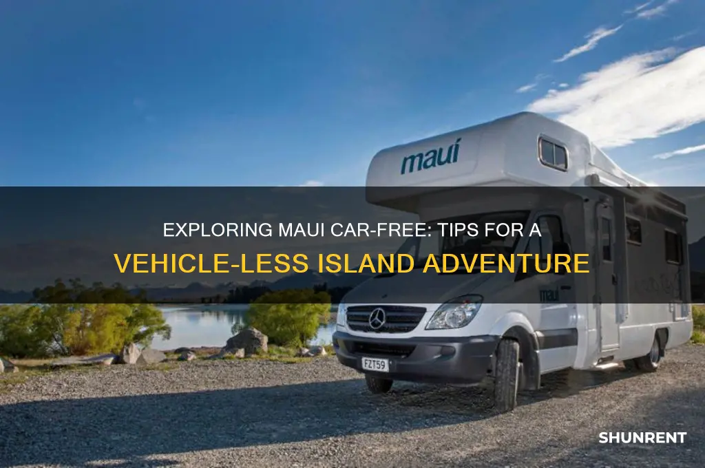 is it possible to visit maui without renting a vcar