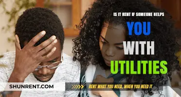 Is It Rent or Assistance? Understanding Utility Contributions in Shared Living