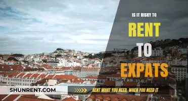 Renting to Expats: Risky Venture or Rewarding Opportunity?