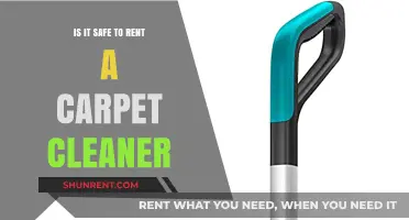 Is Renting a Carpet Cleaner Safe and Effective for Your Home?