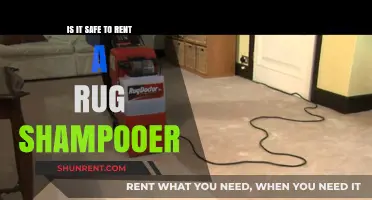 Is Renting a Rug Shampooer Safe and Cost-Effective?
