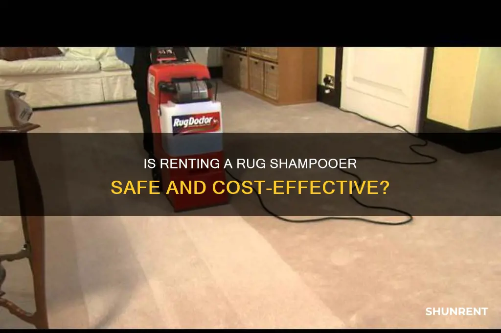 is it safe to rent a rug shampooer
