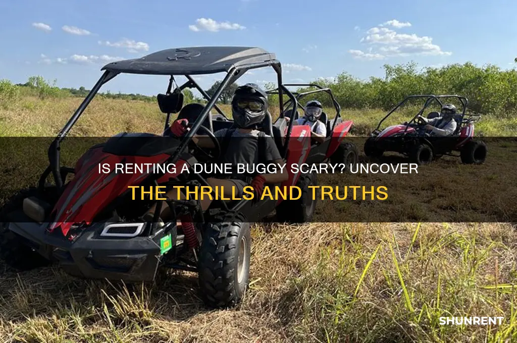 is it scary to rent a dune buggy