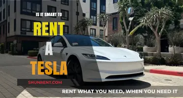 Is Renting a Tesla a Smart Choice for You?
