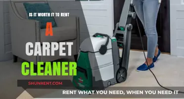 Renting a Carpet Cleaner: Cost-Effective Solution or Unnecessary Expense?