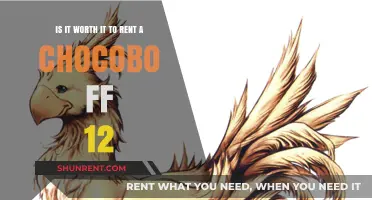 Renting a Chocobo in FF12: Worth the Gil or Waste?