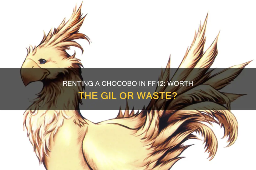 is it worth it to rent a chocobo ff 12