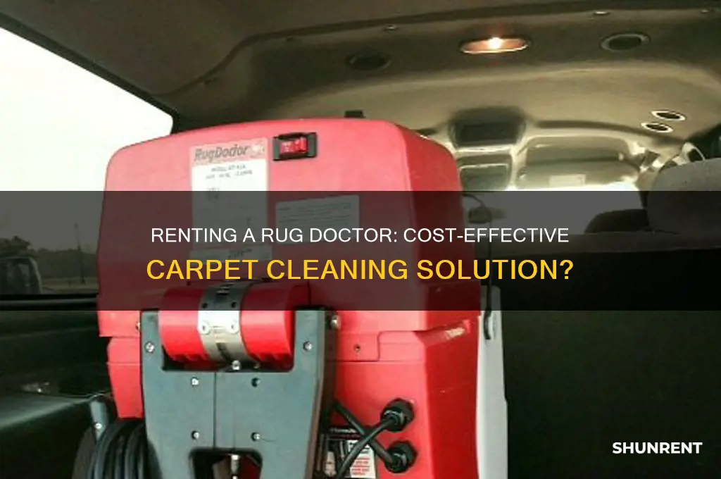 is it worth it to rent a rug doctor