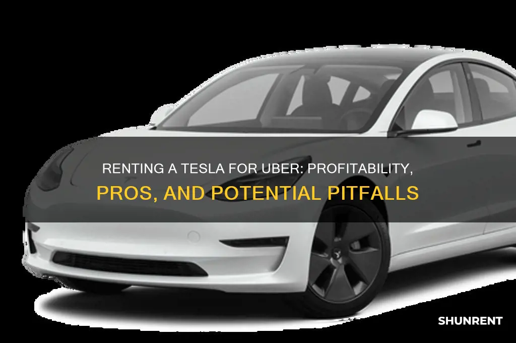 is it worth it to rent a tesla for uber