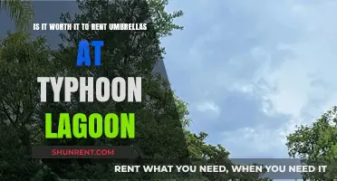 Renting Umbrellas at Typhoon Lagoon: A Worthwhile Disney Decision?