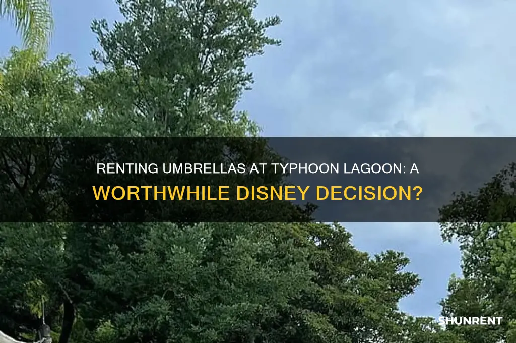 is it worth it to rent umbrellas at typhoon lagoon