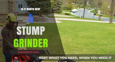 Renting a Stump Grinder: Cost-Effective Solution or Unnecessary Expense?