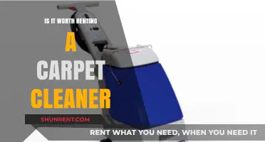 Renting a Carpet Cleaner: Cost-Effective Solution or Unnecessary Expense?