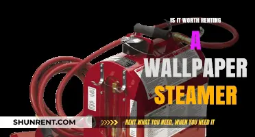 Renting a Wallpaper Steamer: Is It a Smart DIY Investment?