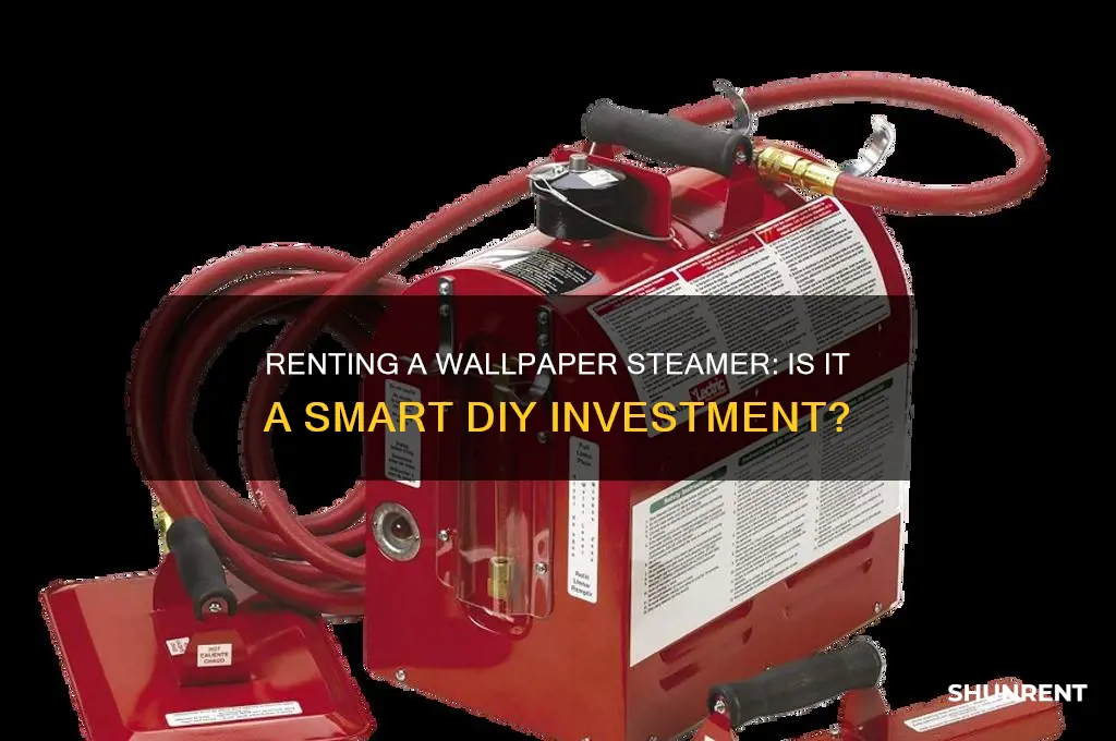 is it worth renting a wallpaper steamer