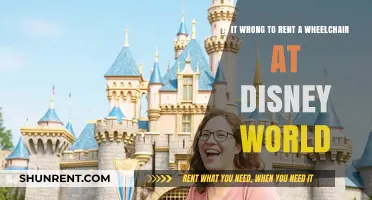 Renting a Wheelchair at Disney World: Ethical or Practical Choice?