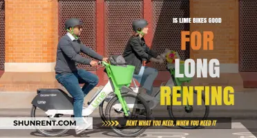 Lime Bikes for Long-Term Rentals: Pros, Cons, and Practicality